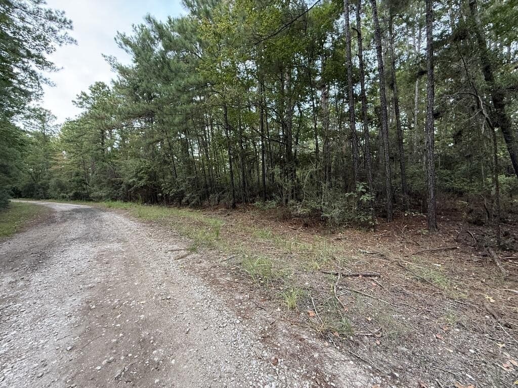 0.22 acres in Texas County