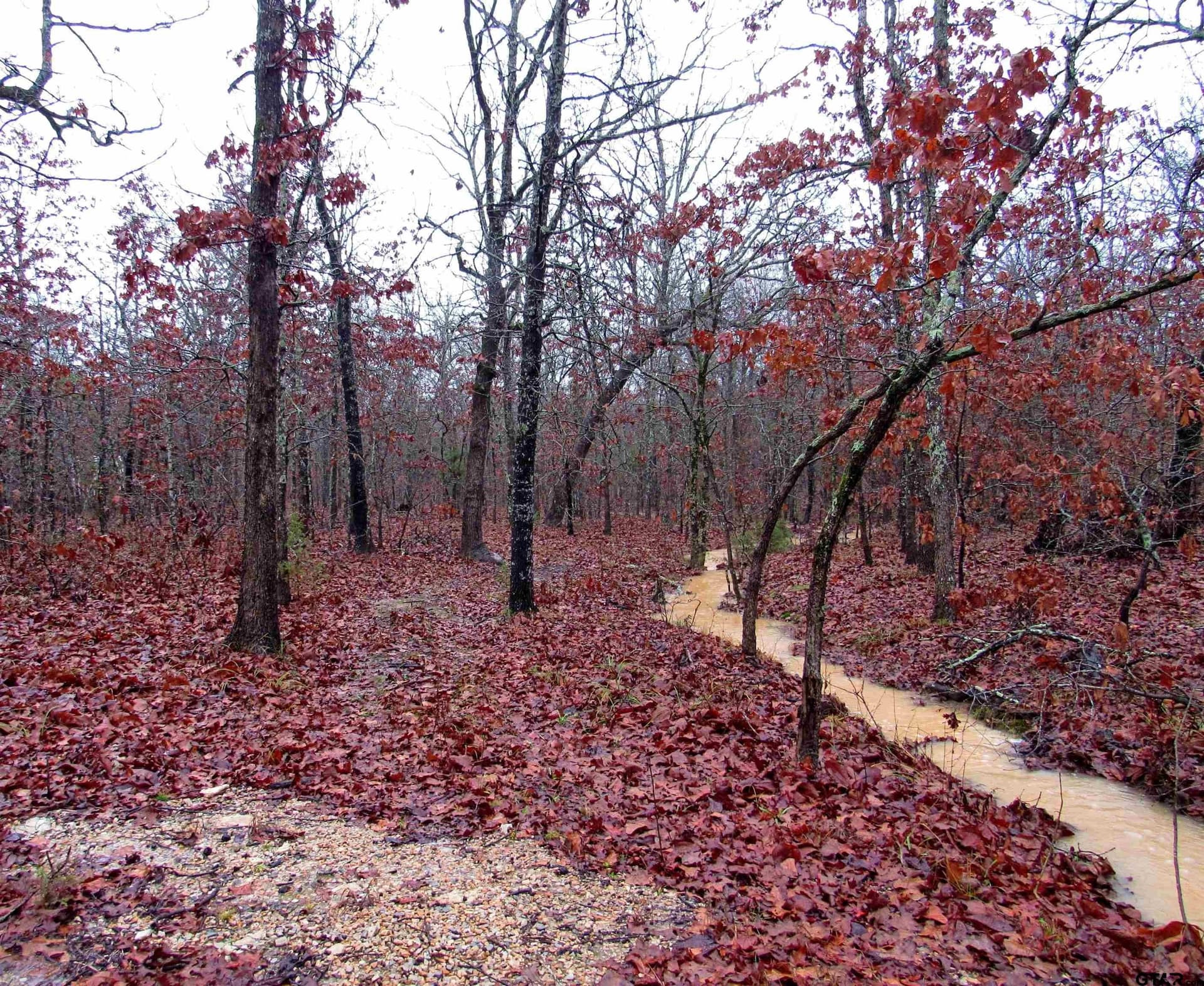 30 acres in Lamar County