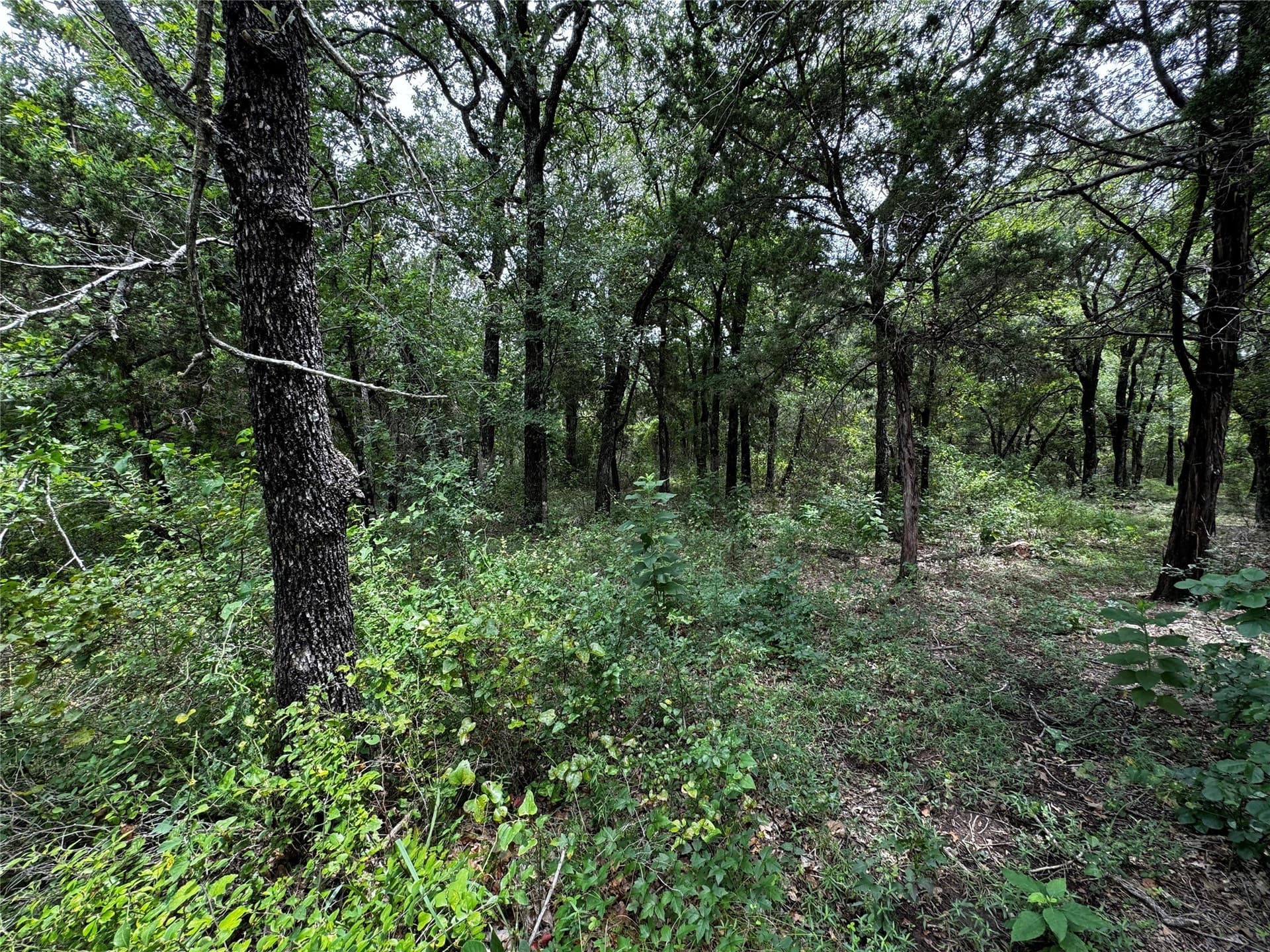 0.25 acres in Hill County