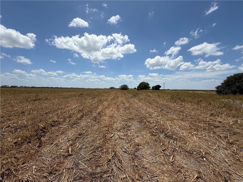 100.93 acres in Live Oak County