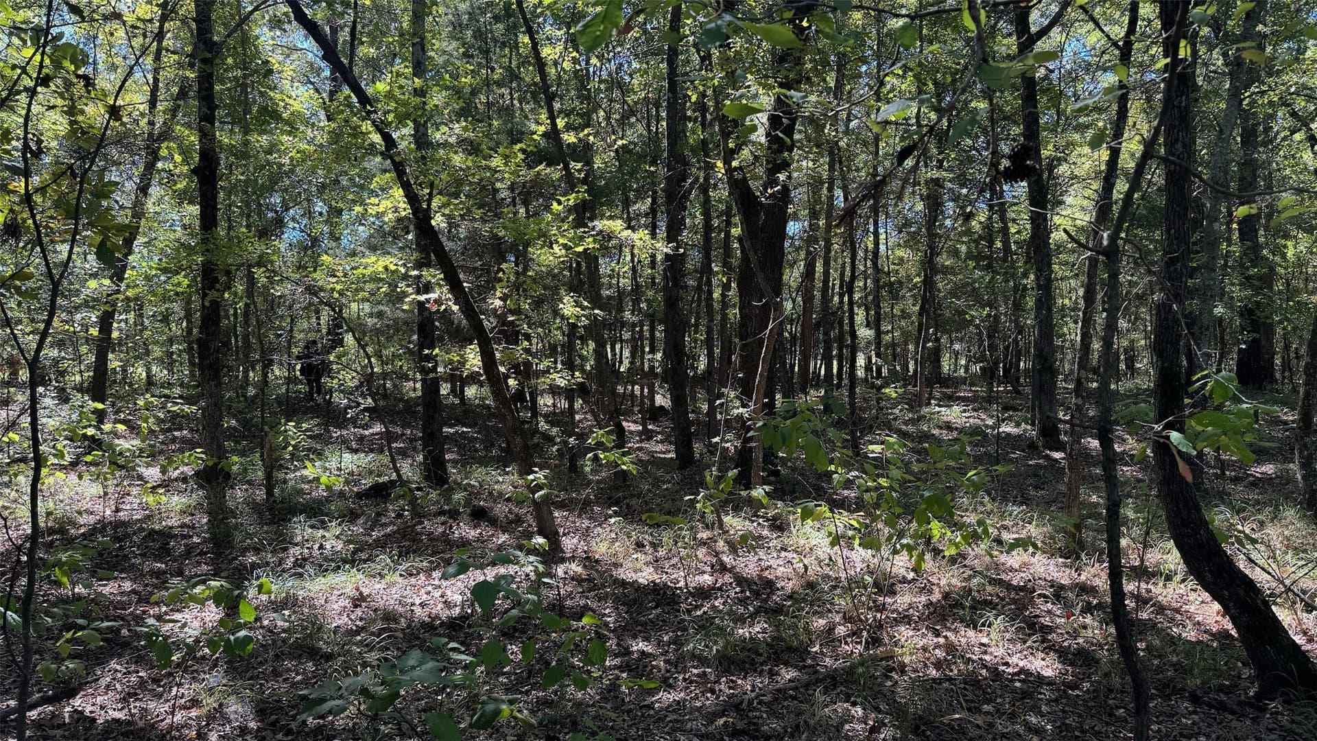 25.89 acres in Red River (TX) County