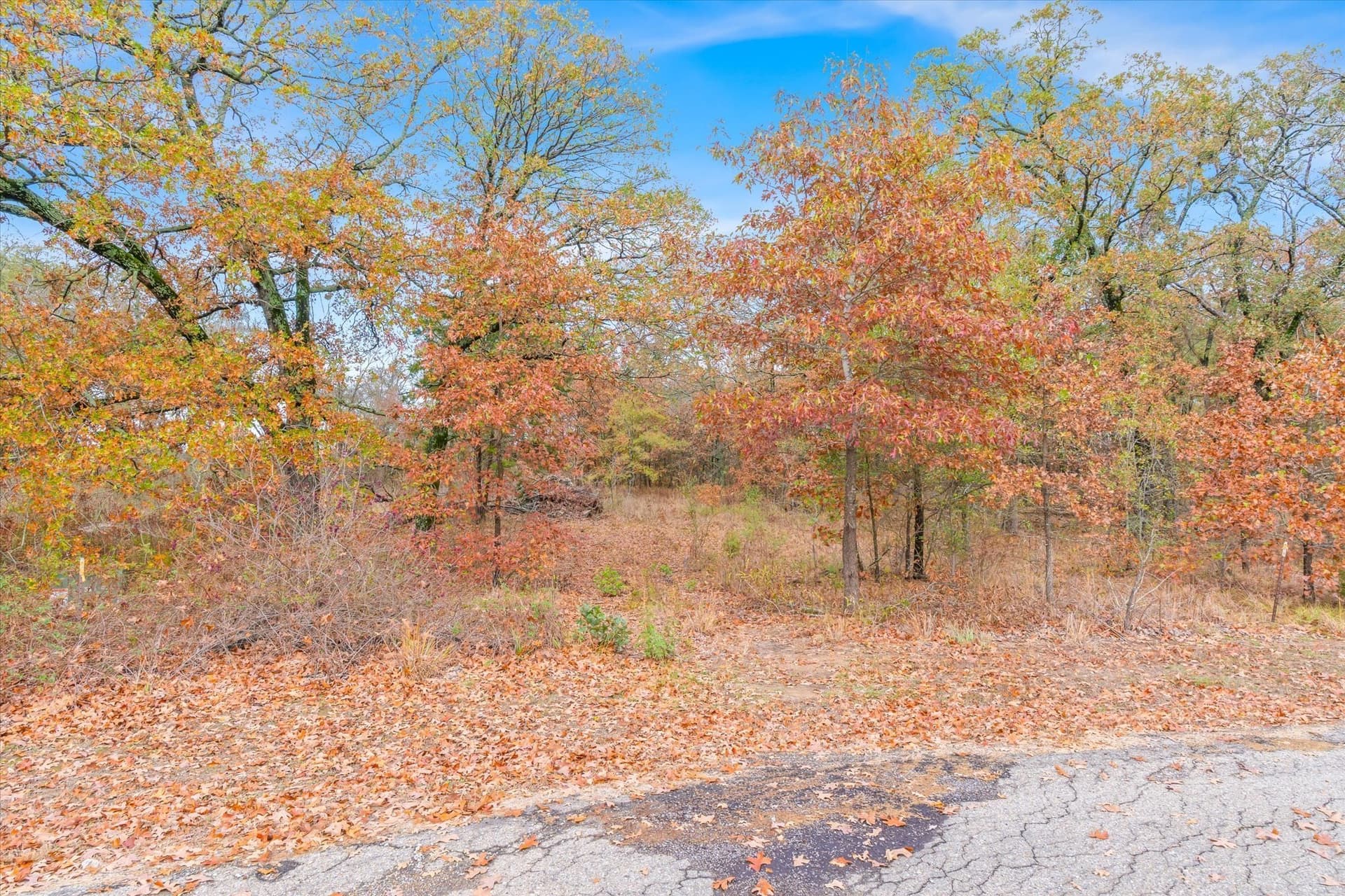 1.02 acres in Rains County
