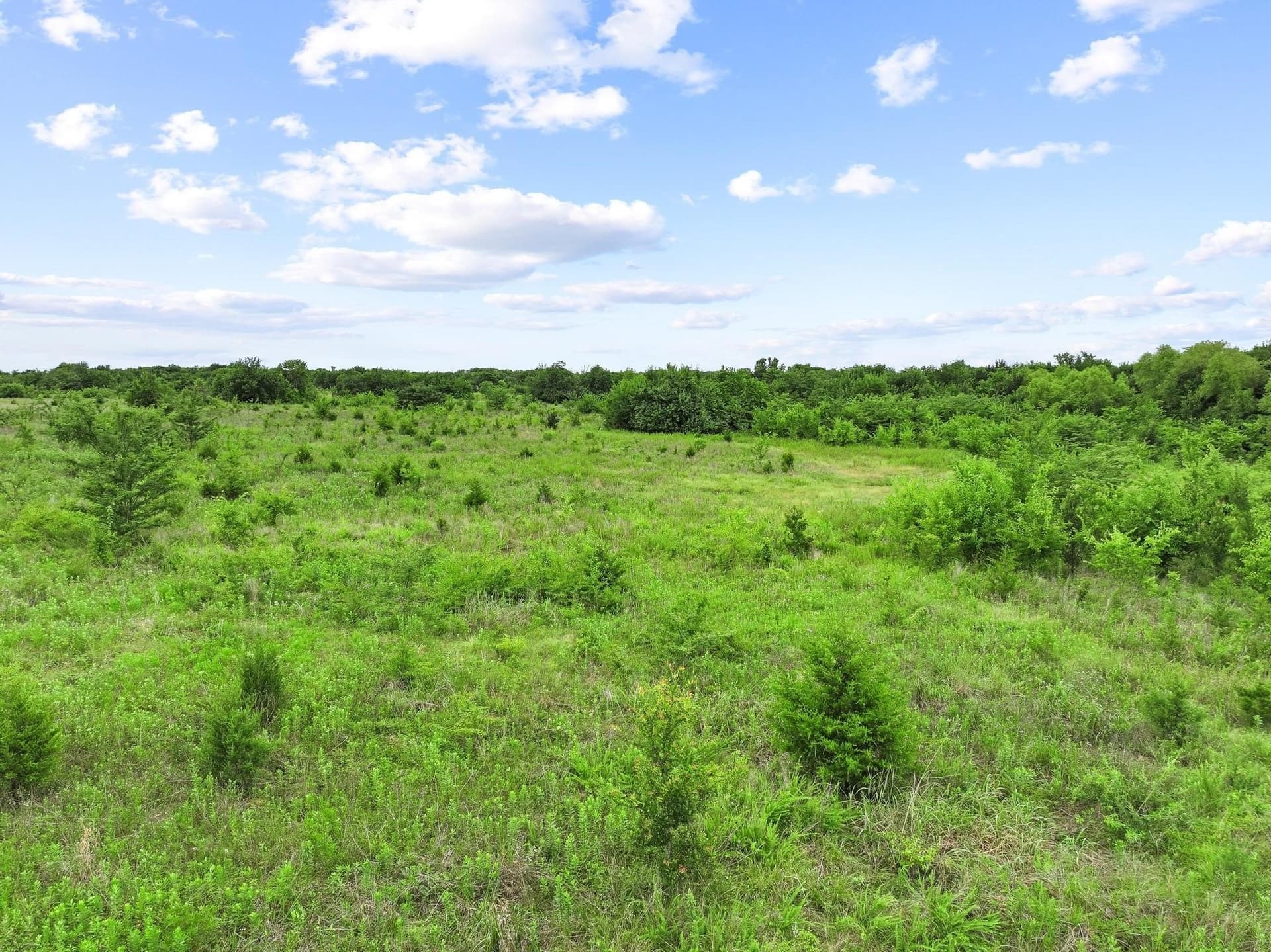 41.58 acres in Lamar County