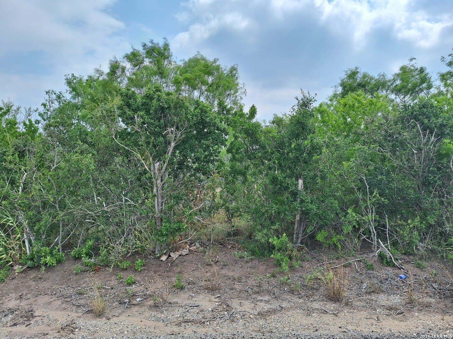 21.3 acres in Karnes County