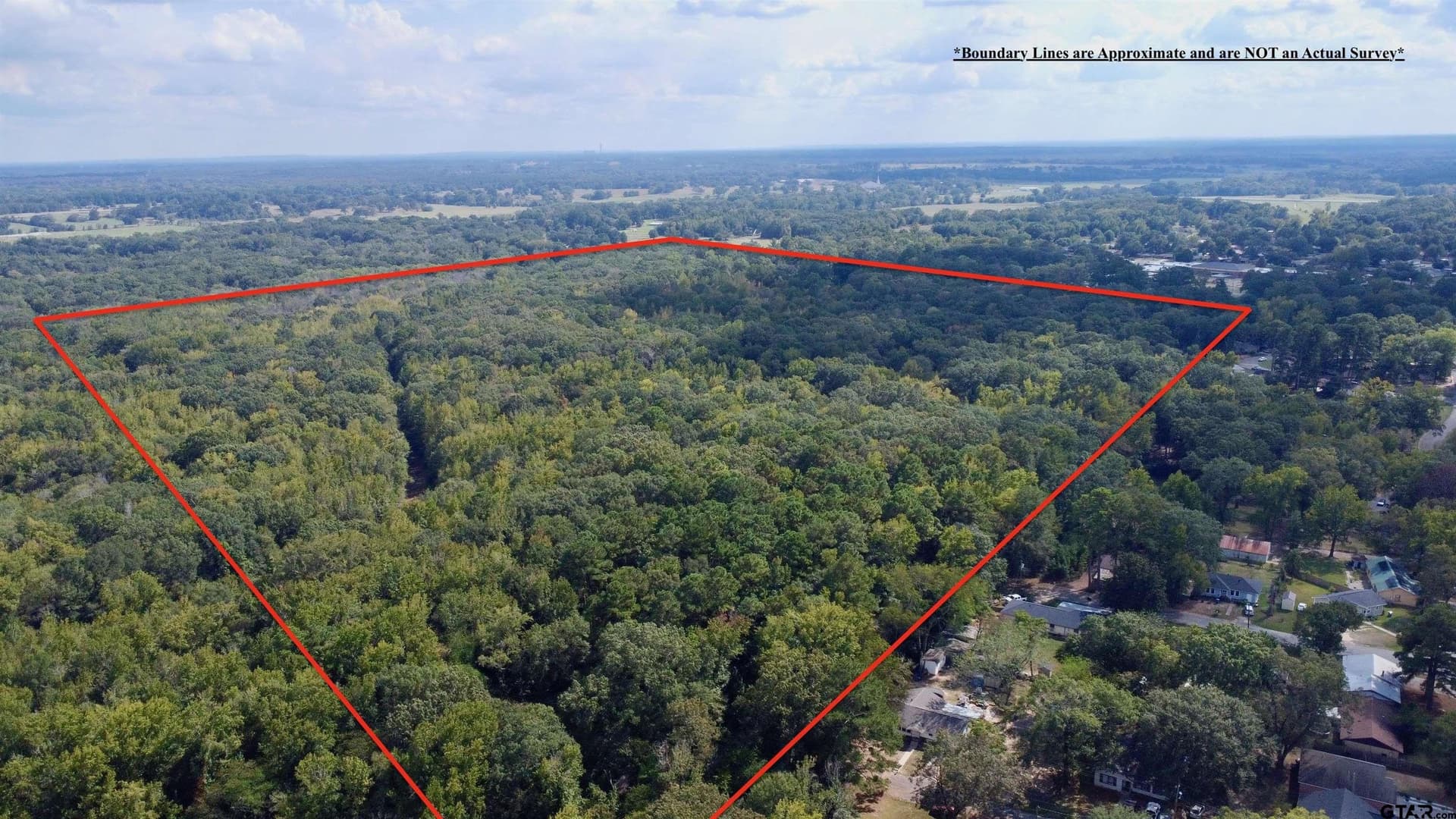 100 acres in Titus County