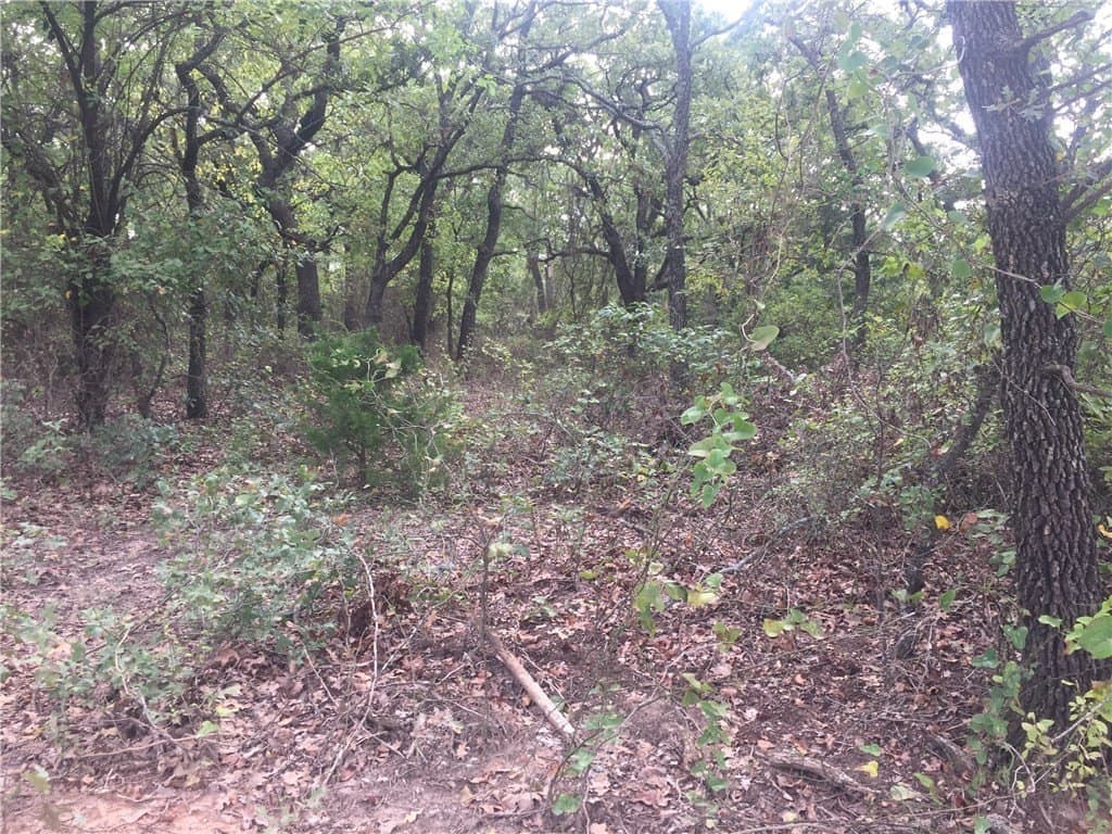 252.5 acres in Montague County