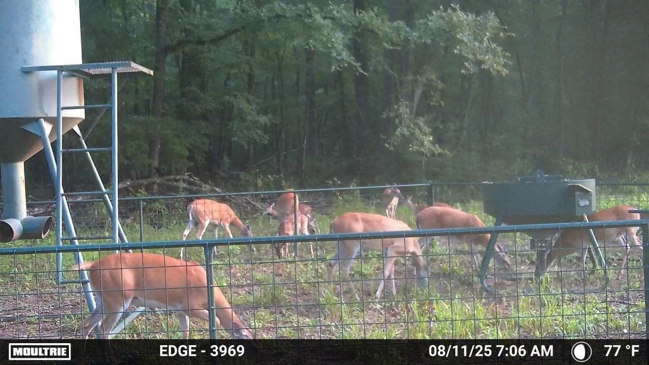 371.57 acres in Cherokee County