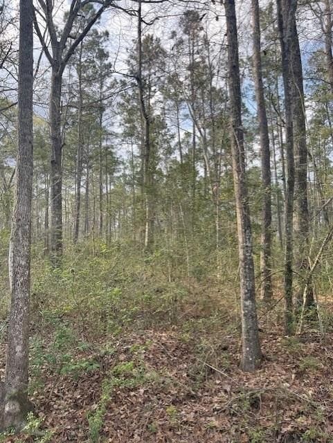 25 acres in Texas County