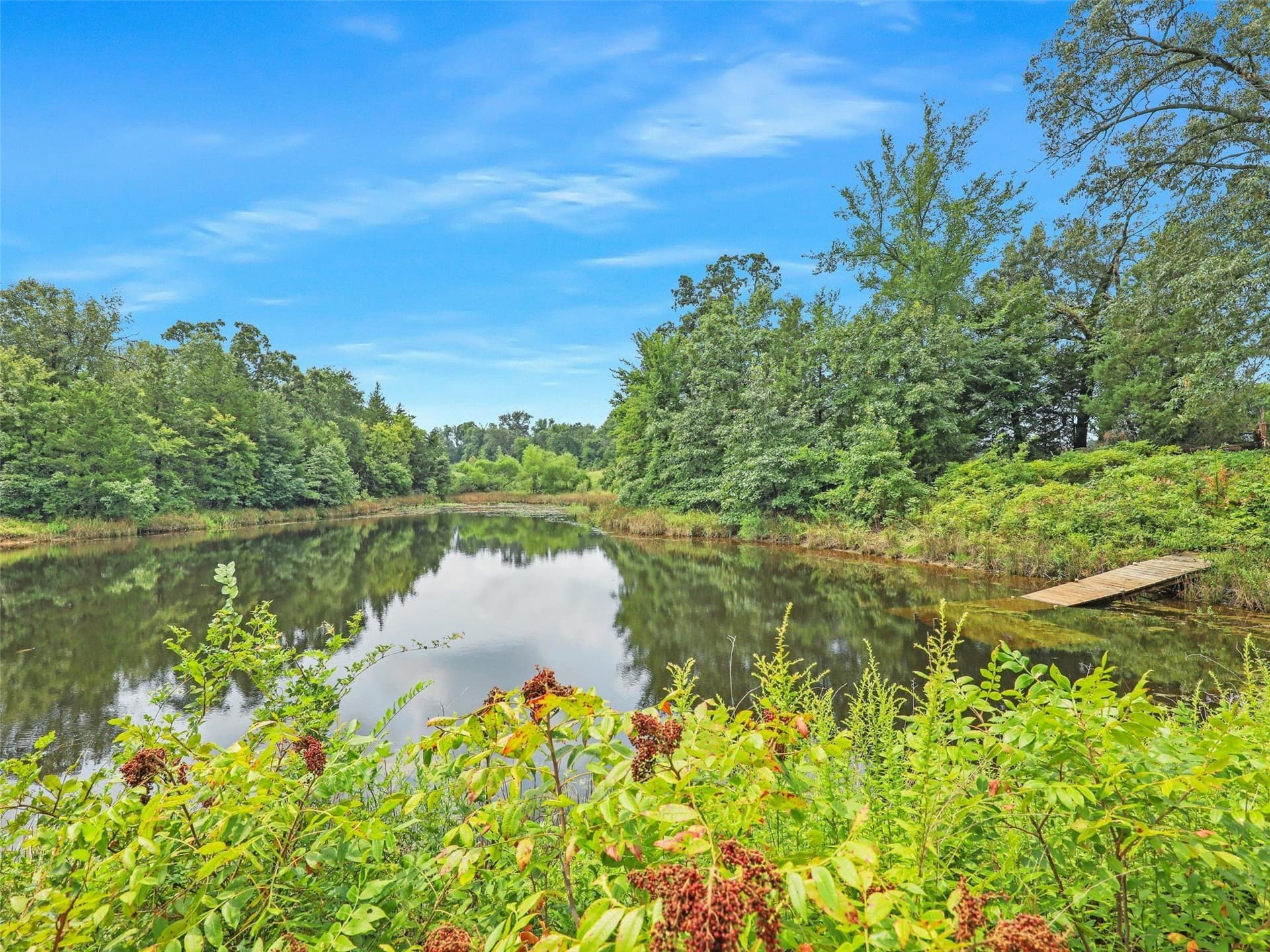 35.12 acres in Lamar County