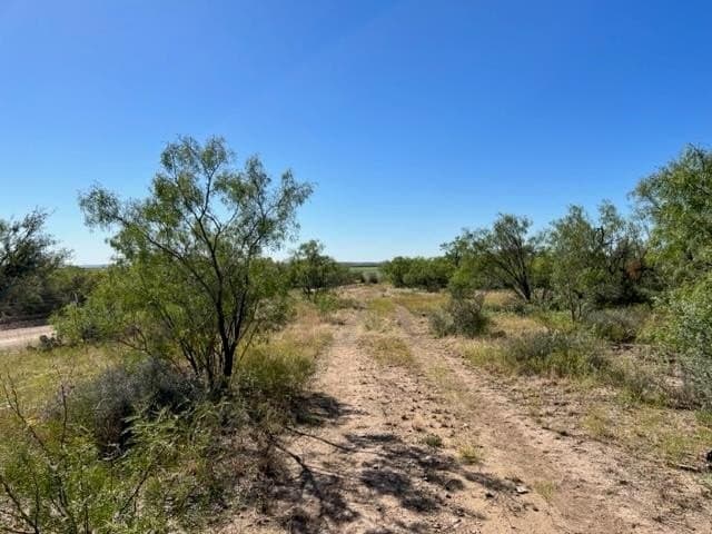 113.45 acres in Concho County