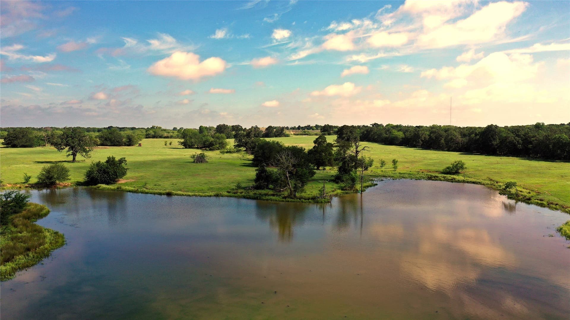 255.69 acres in Navarro County