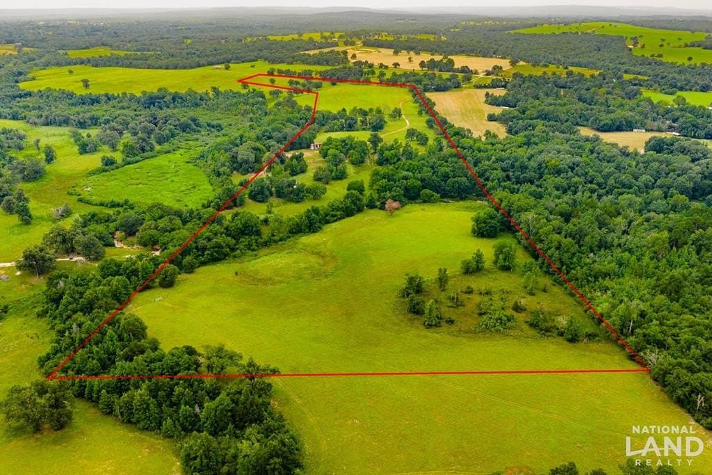 55.25 acres in Anderson County