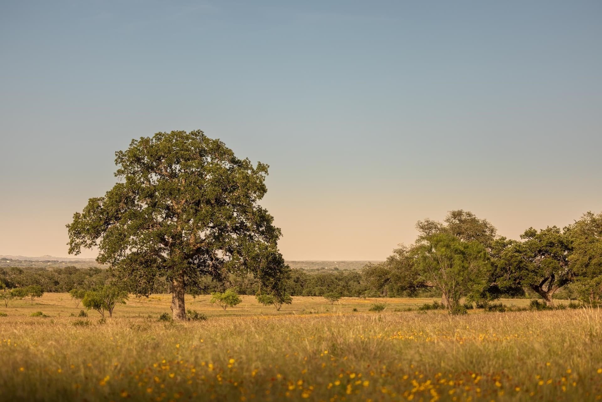 583 acres in Blanco County