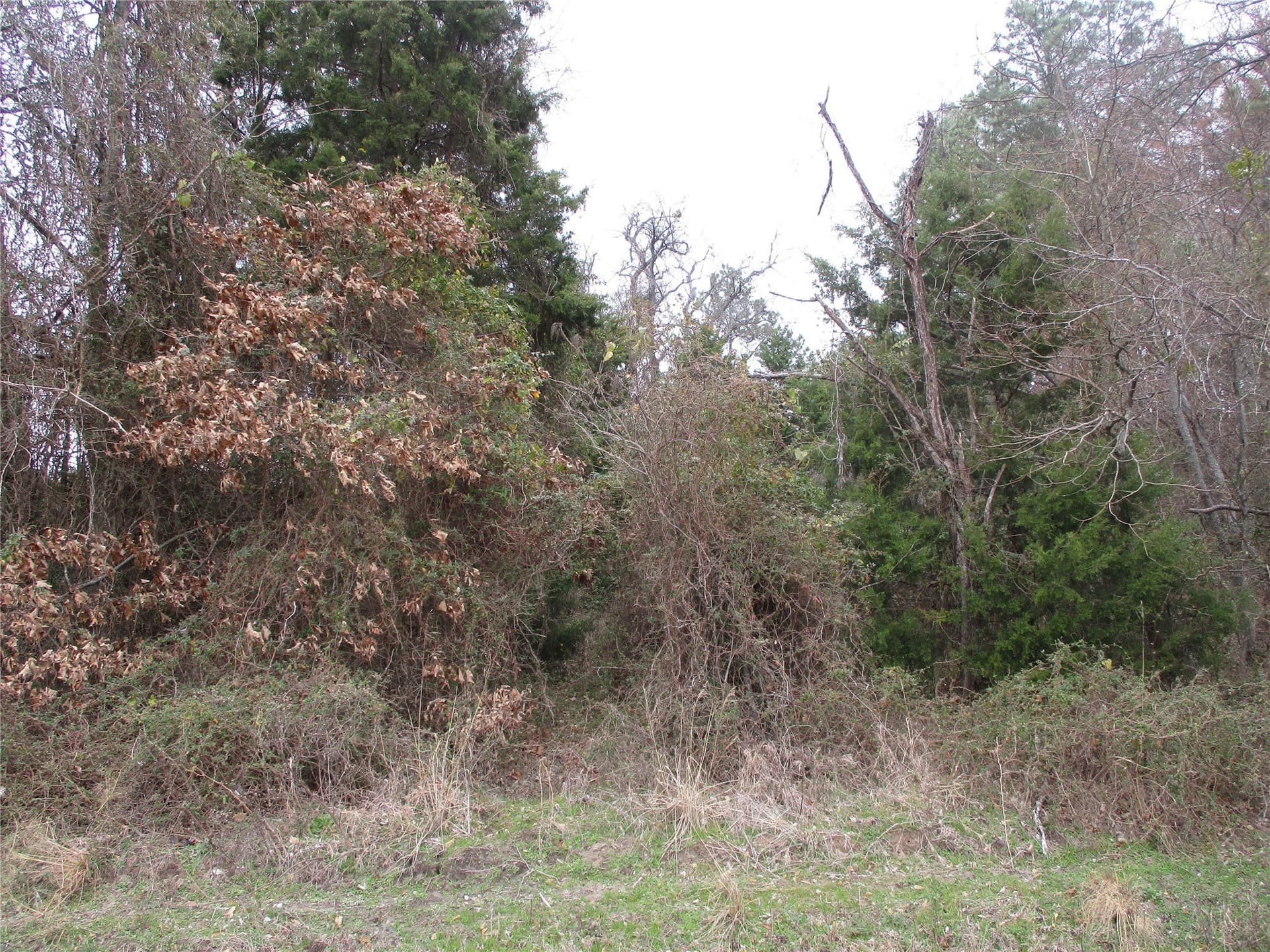 2.08 acres in Rains County