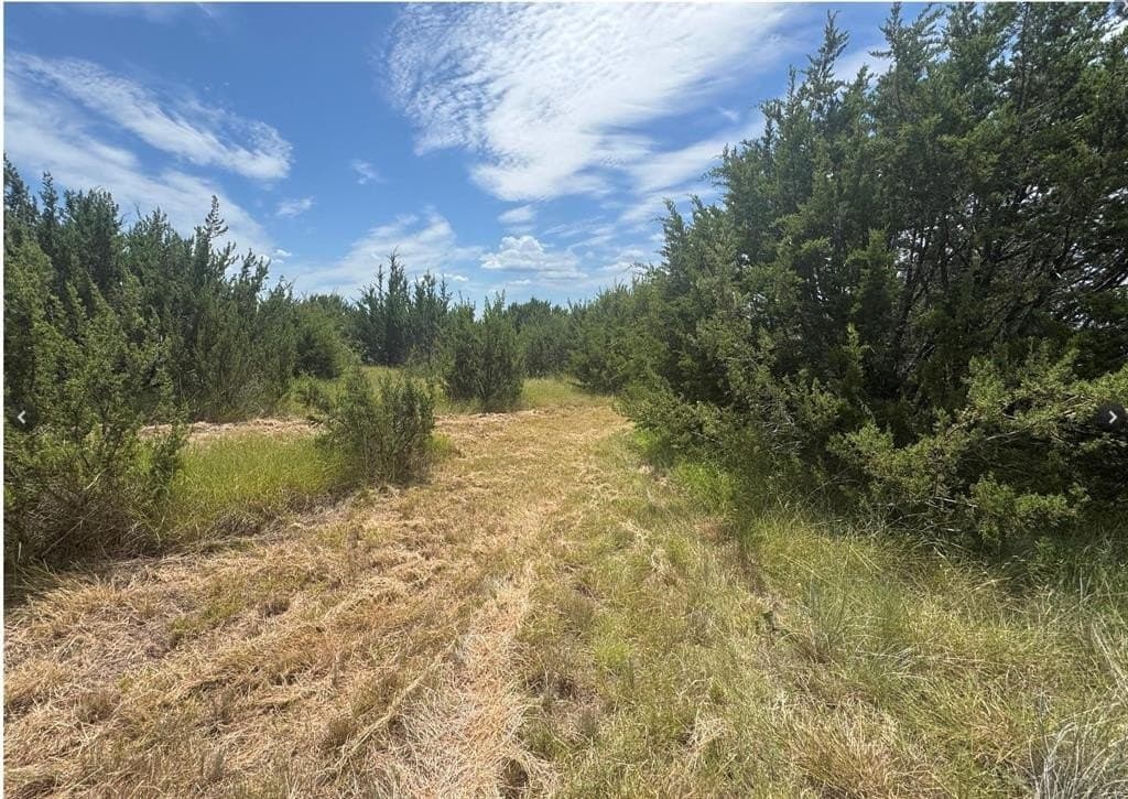10.01 acres in Hood County