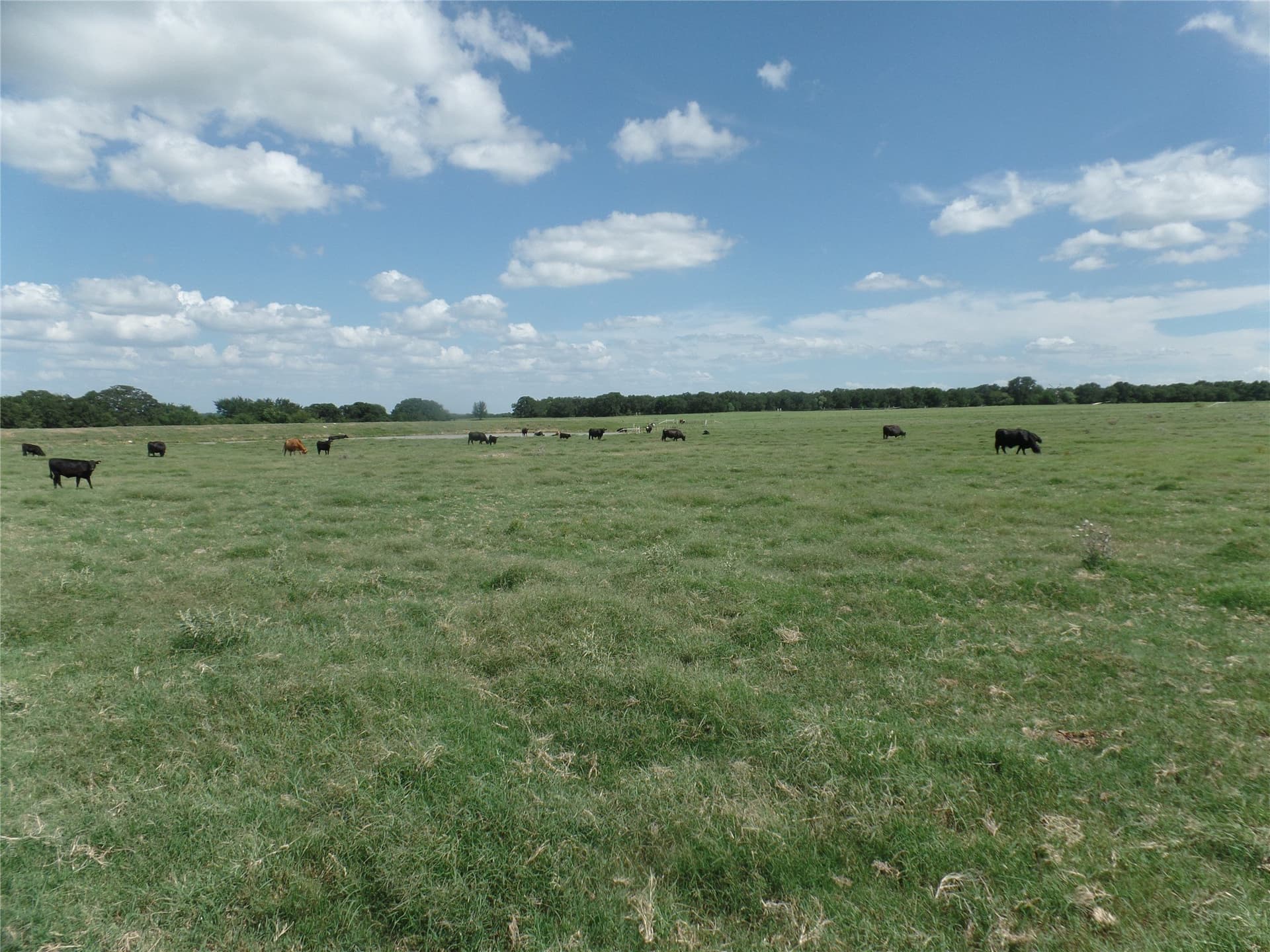 11.12 acres in Erath County