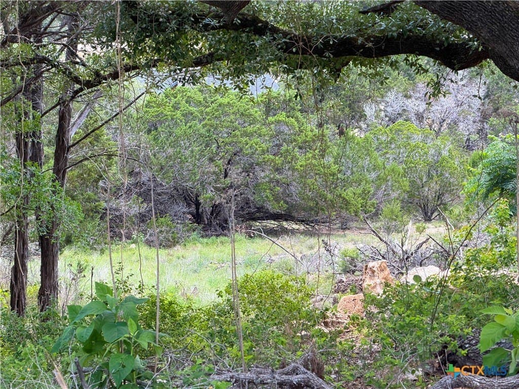 0.3 acres in Comal County