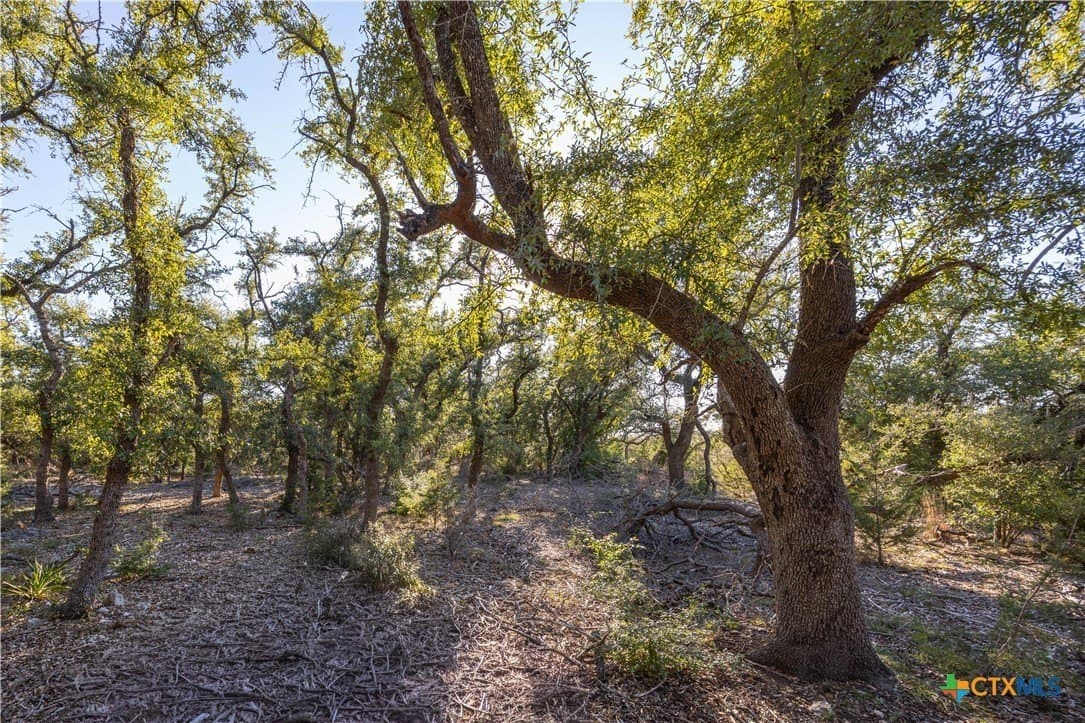 2.25 acres in Hays County