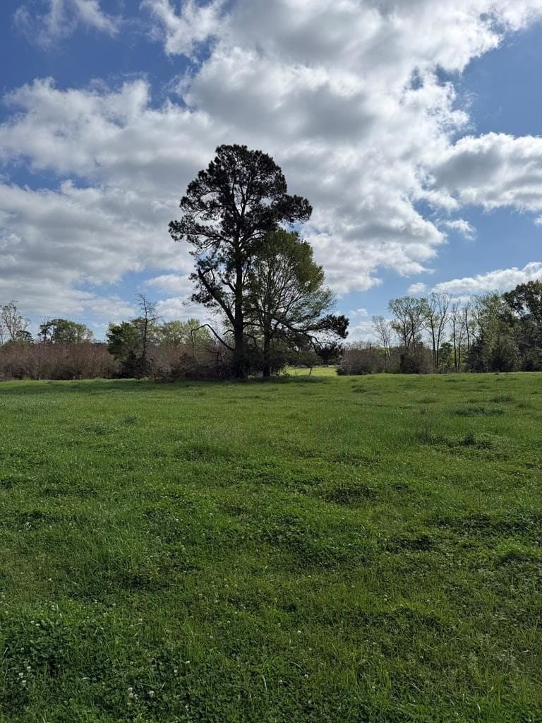 4 acres in Texas County