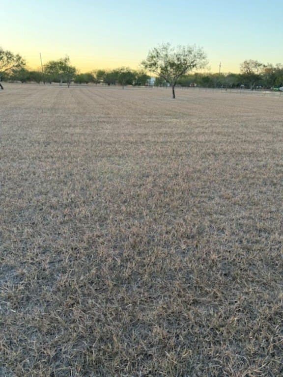 3 acres in Nueces County