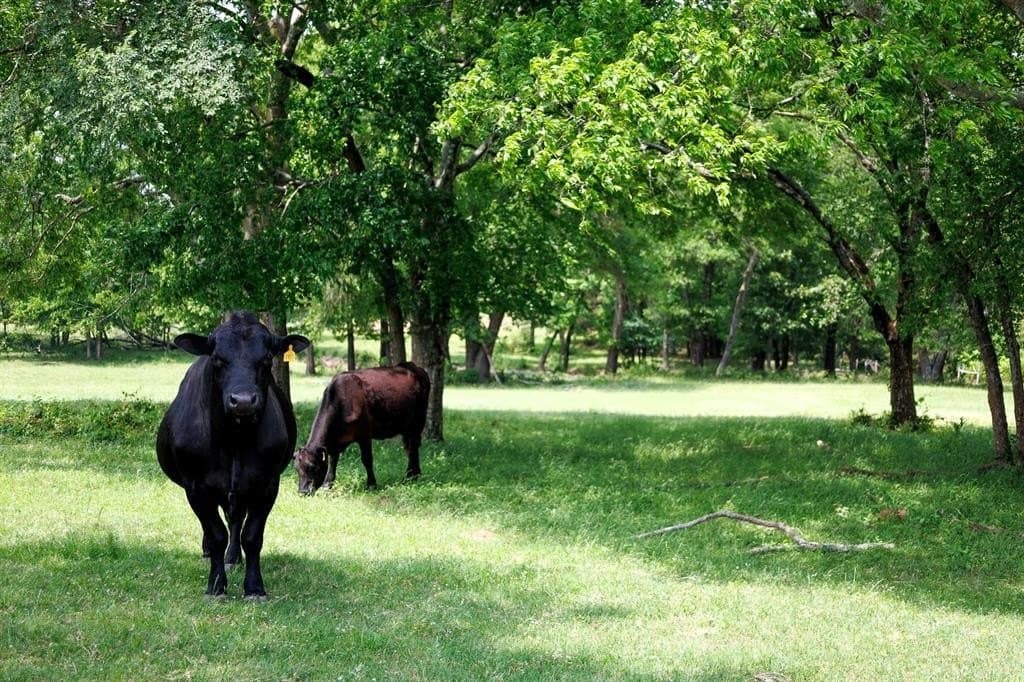 47.79 acres in Van Zandt County