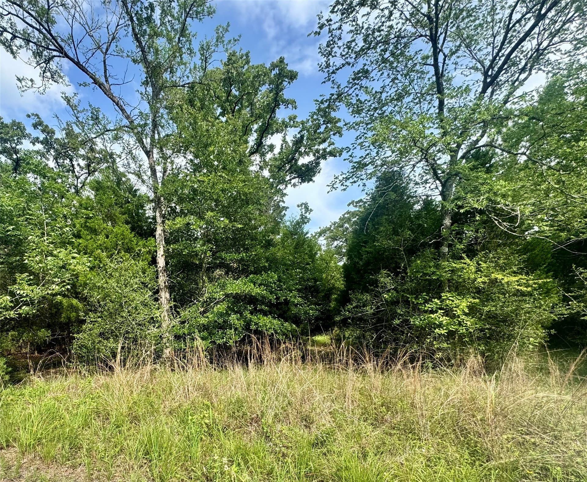 0.06 acres in Henderson County