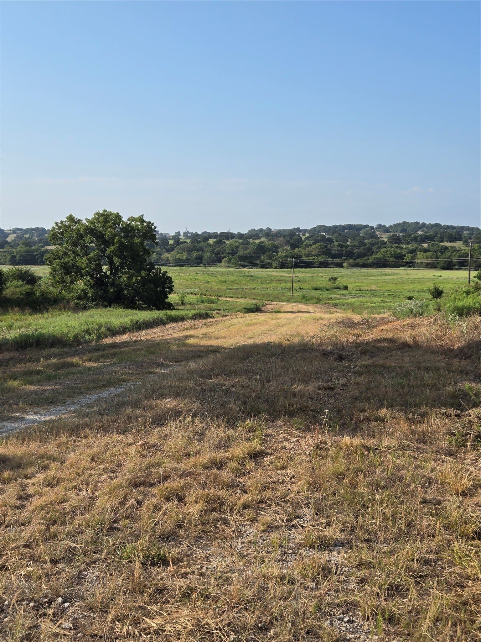 55 acres in Montague County
