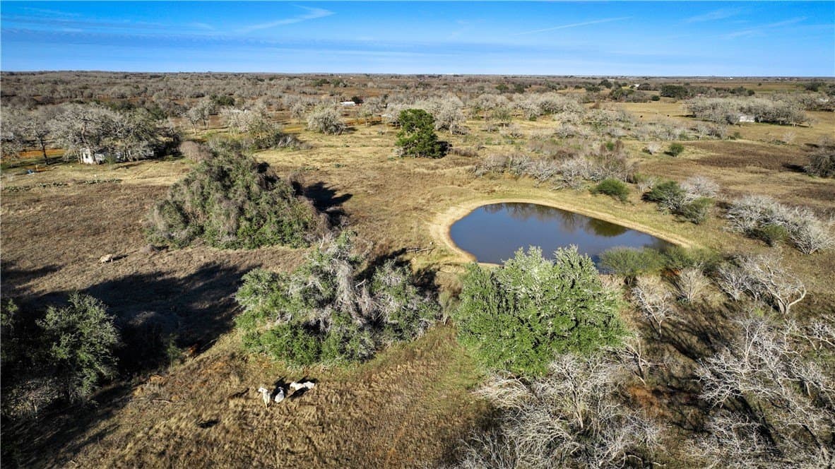 50 acres in Wilson County