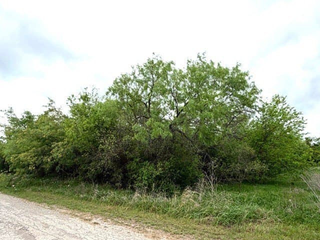 0.28 acres in Palo Pinto County