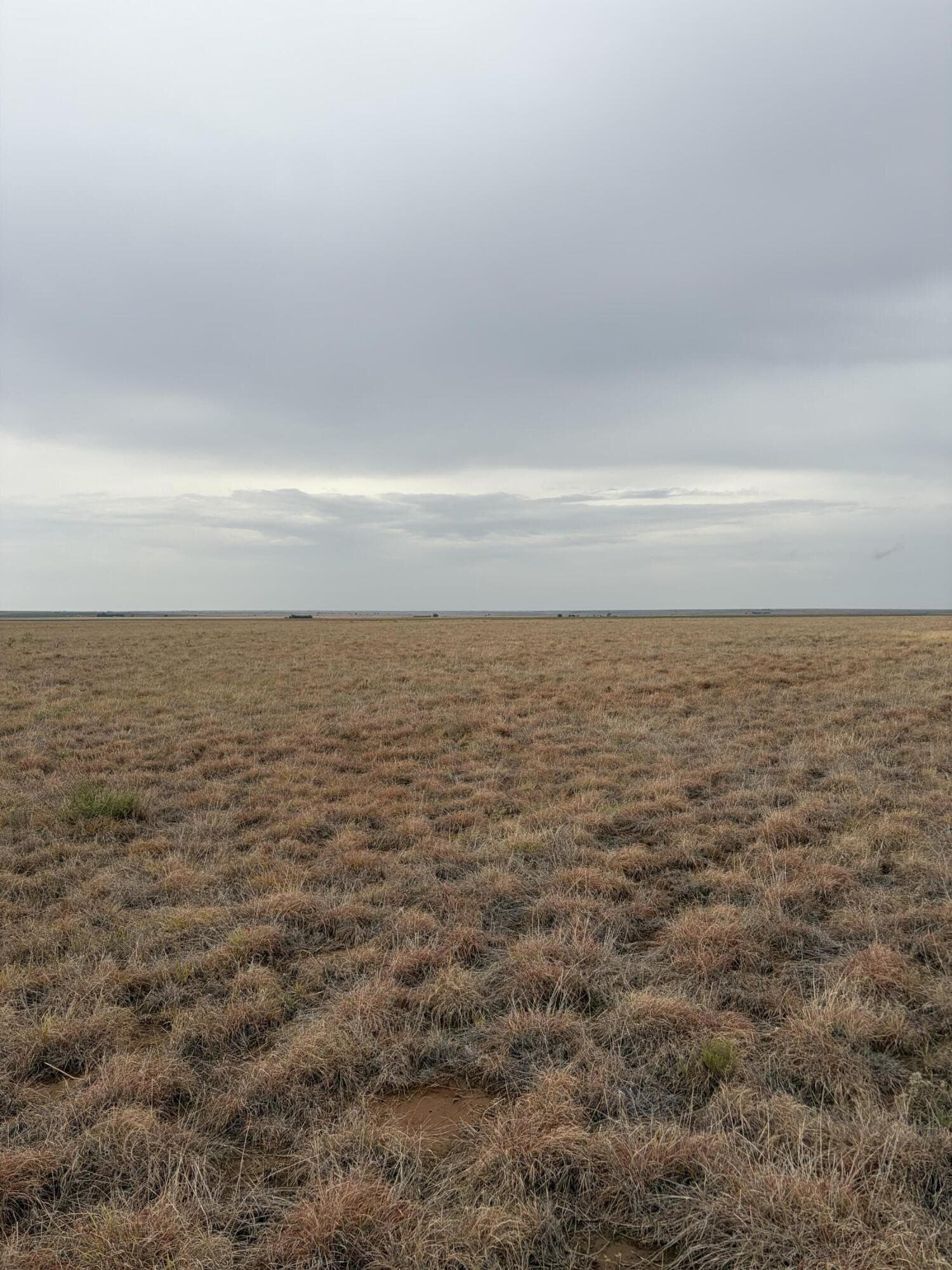 148 acres in Bailey County