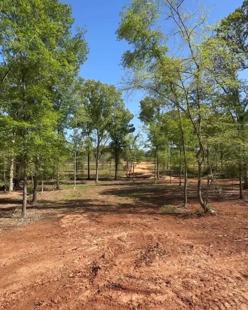 5 acres in Texas County