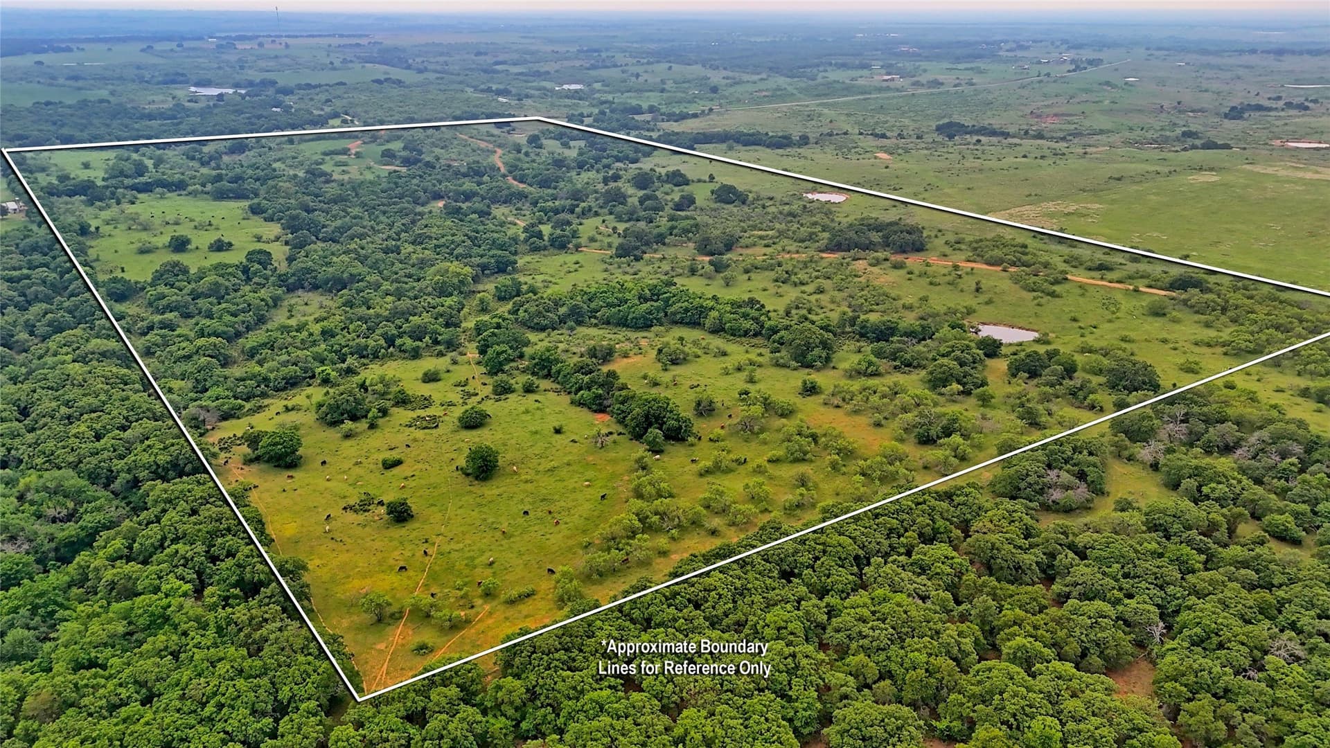 92.75 acres in Montague County