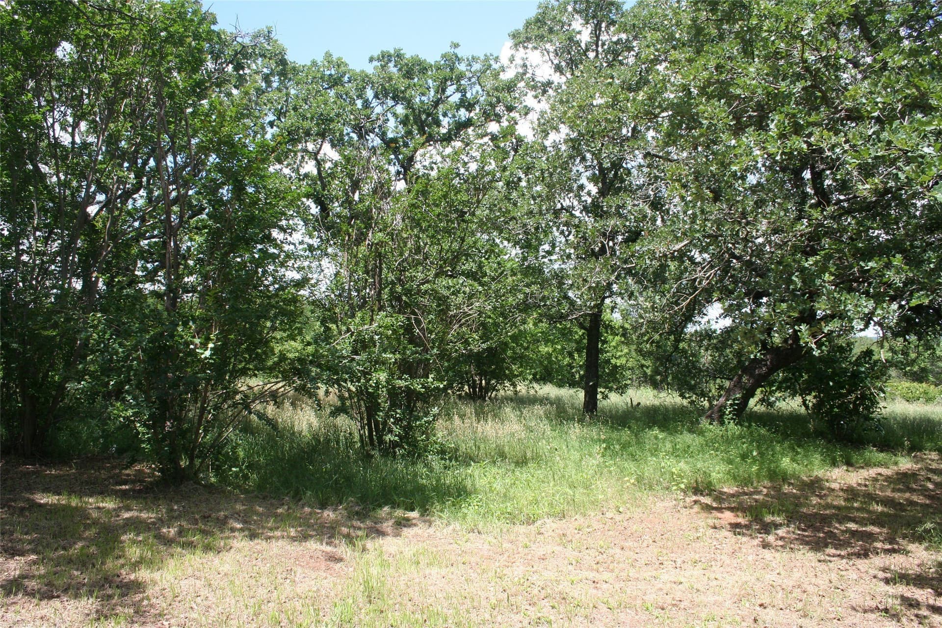 4.31 acres in Palo Pinto County