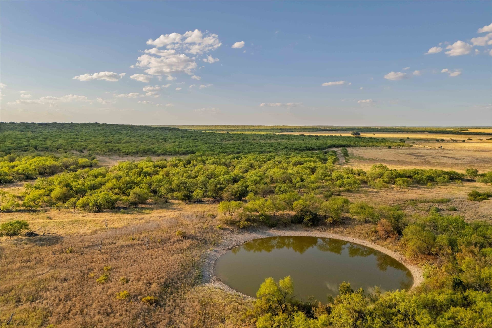 652.78 acres in Callahan County