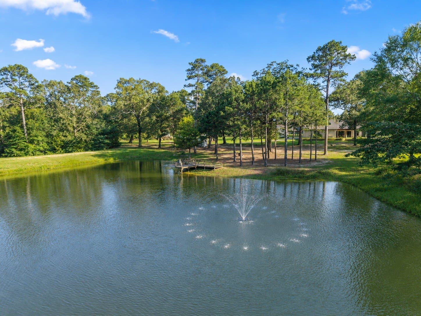 56 acres in Titus County