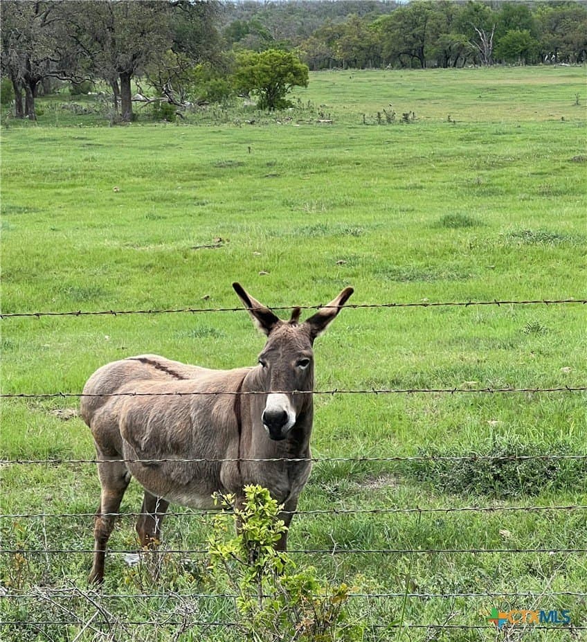 2.51 acres in Gillespie County