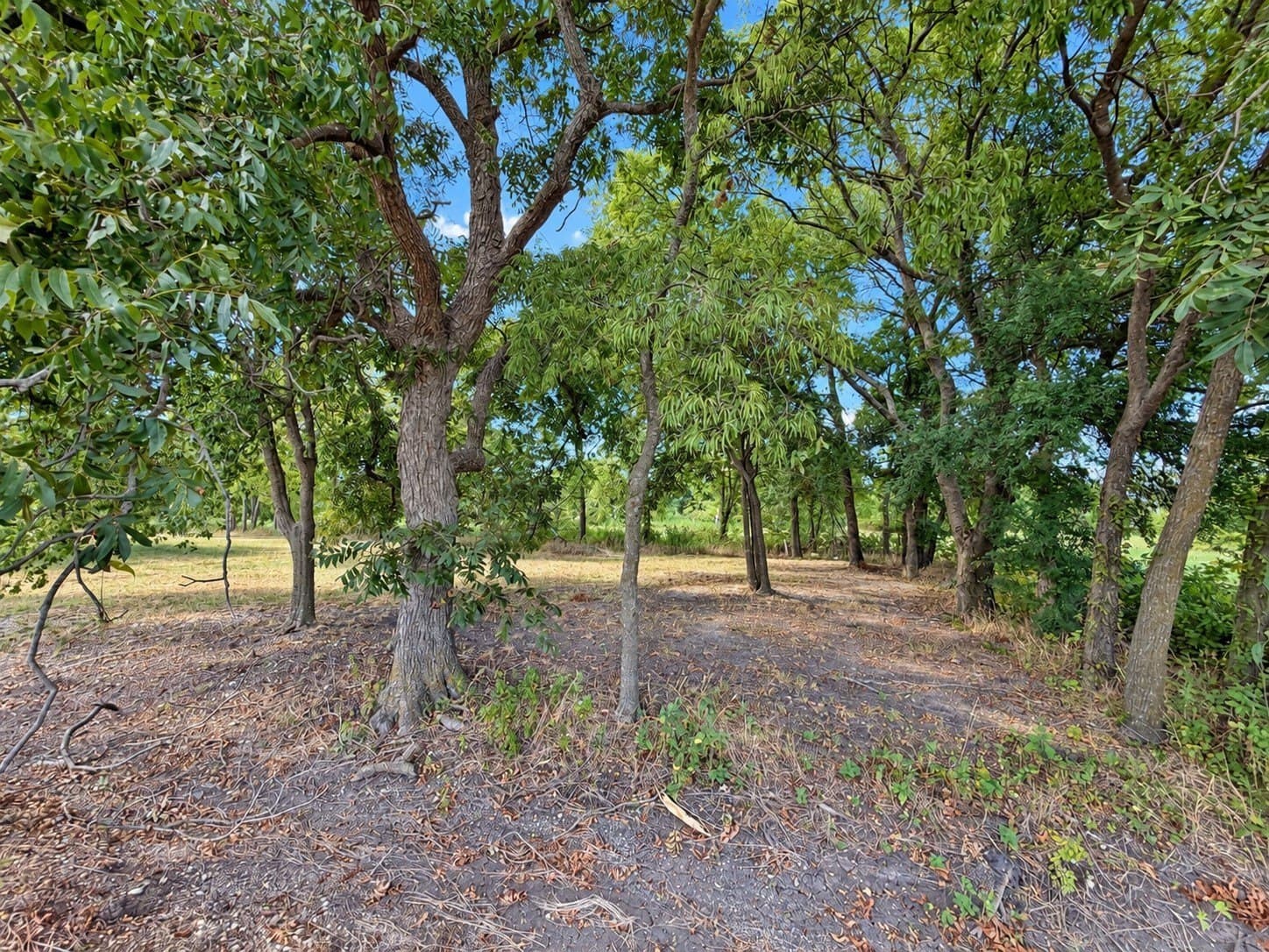 0.32 acres in Fannin County