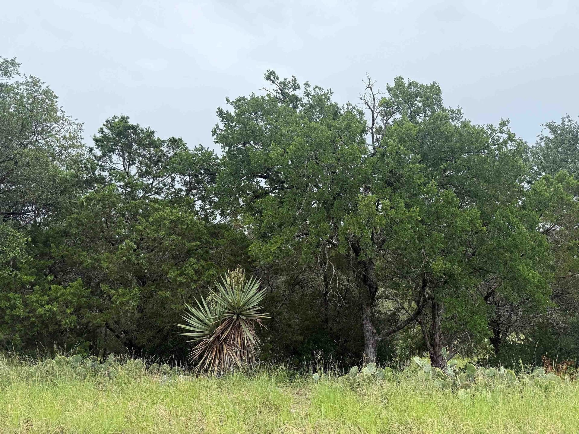 0.29 acres in Llano County