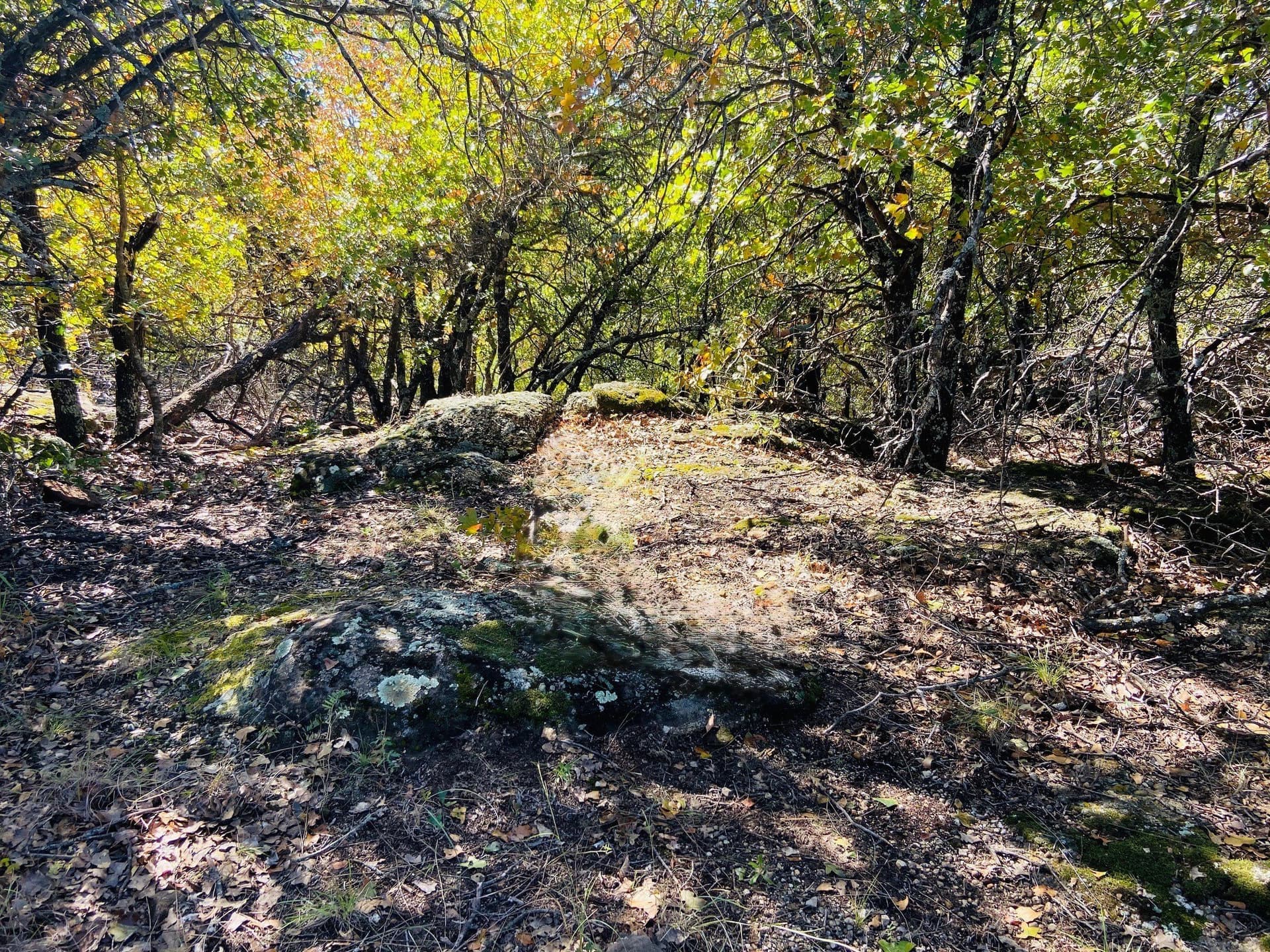 2.01 acres in Montague County