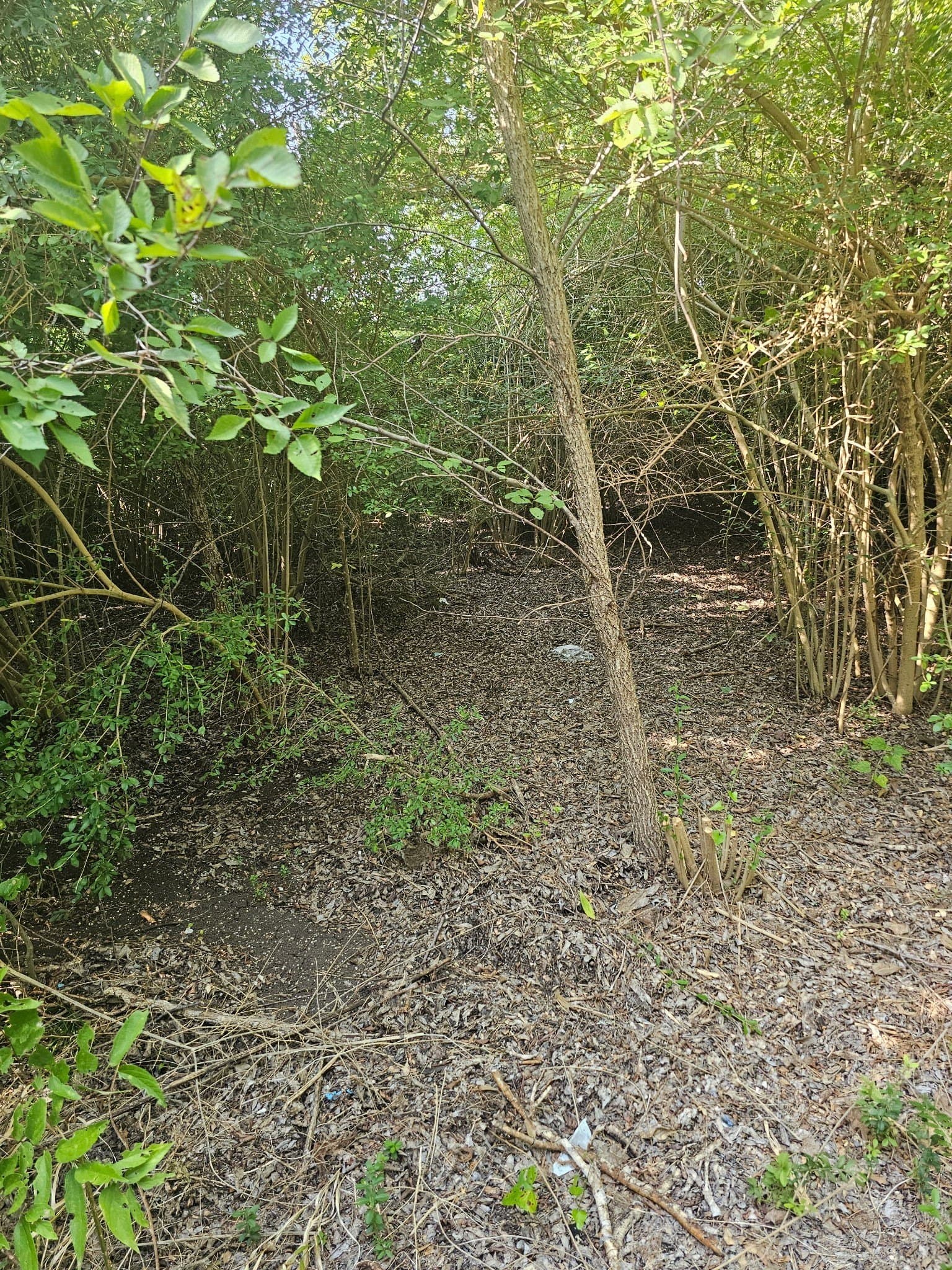 0.42 acres in Dallas County