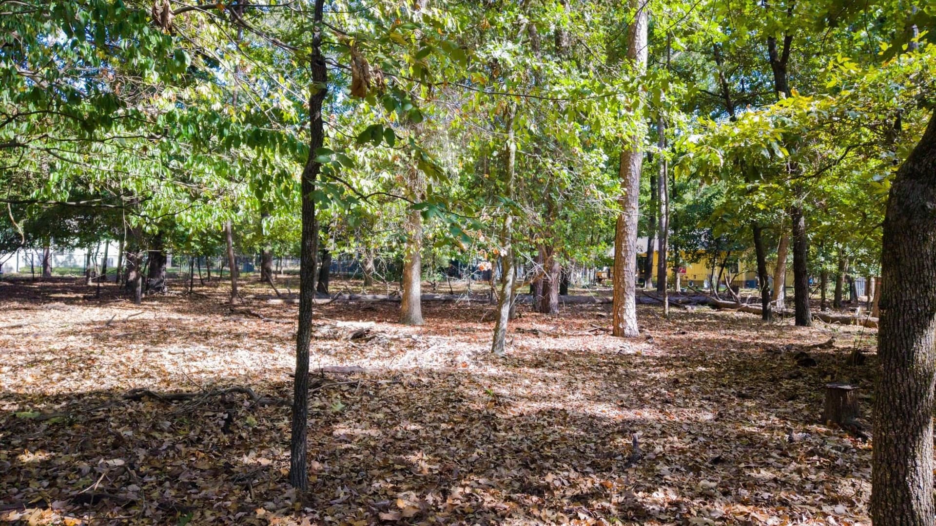 0.26 acres in Wood County