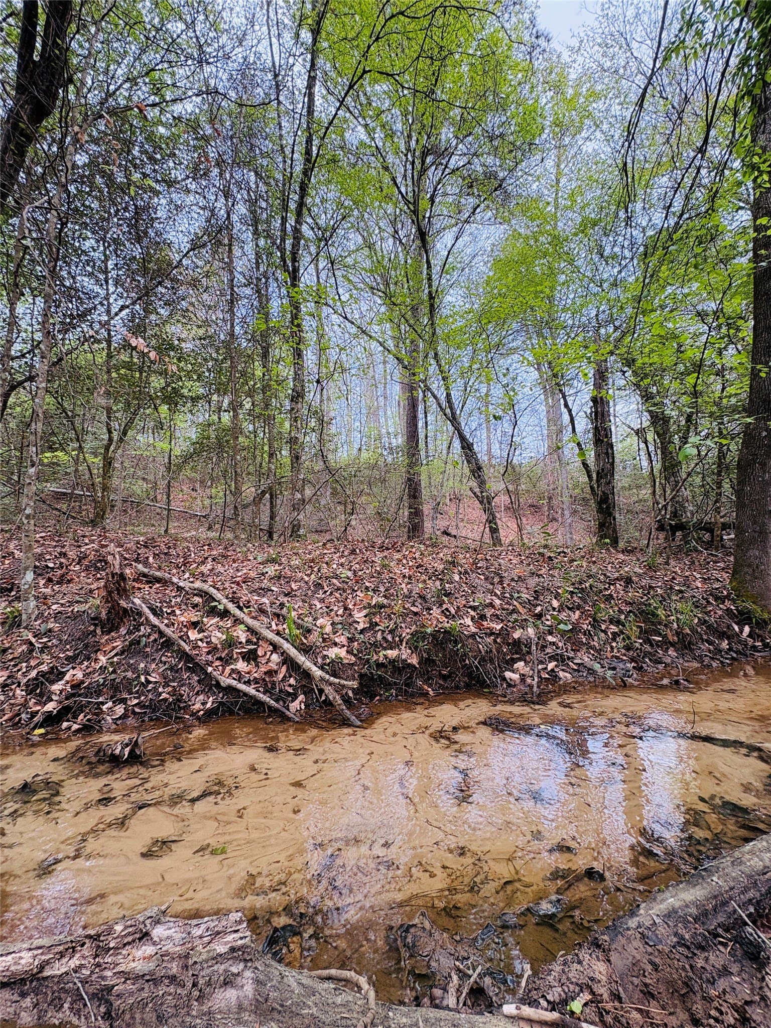 21 acres in Shelby County