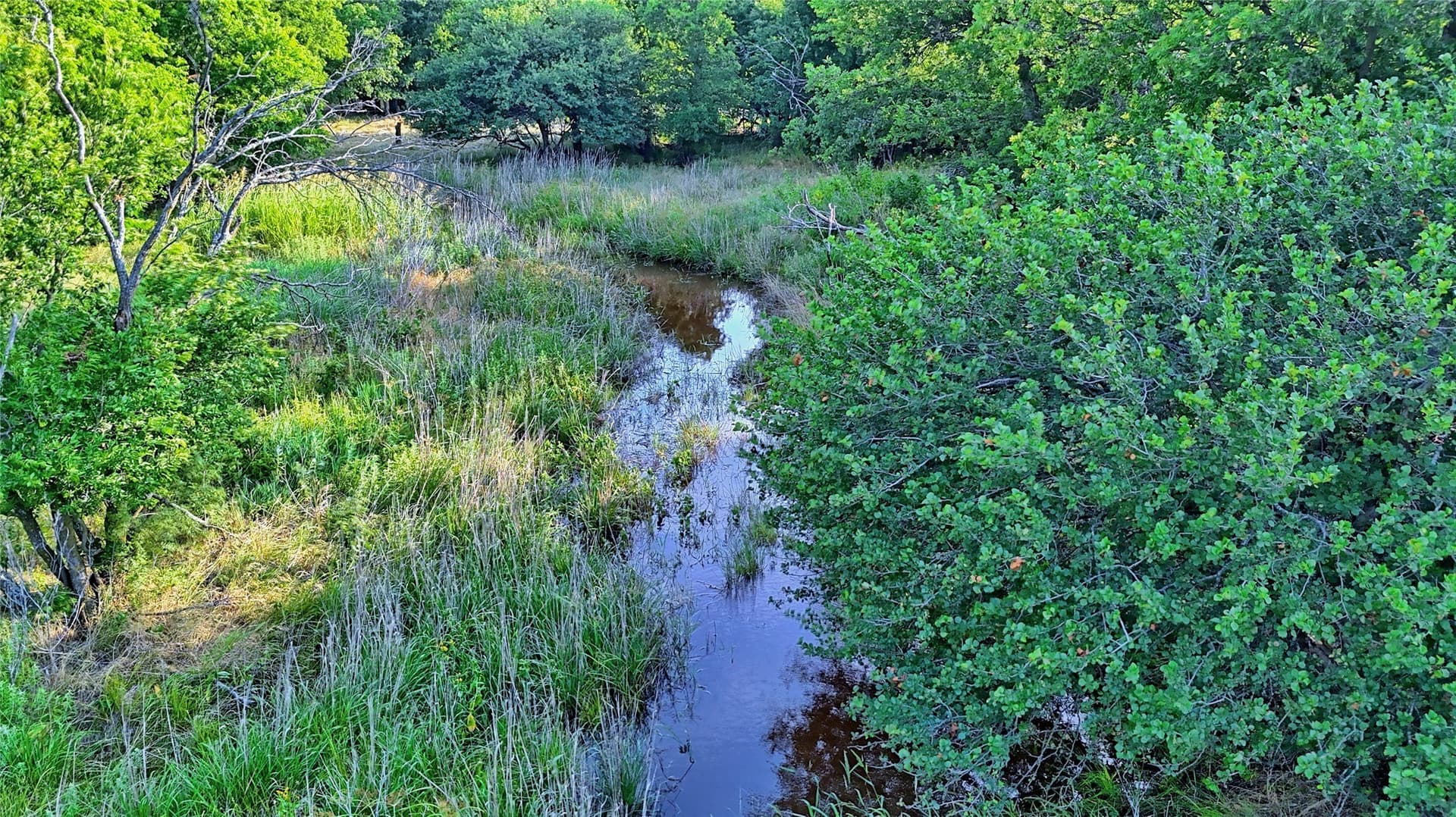 25.02 acres in Clay County