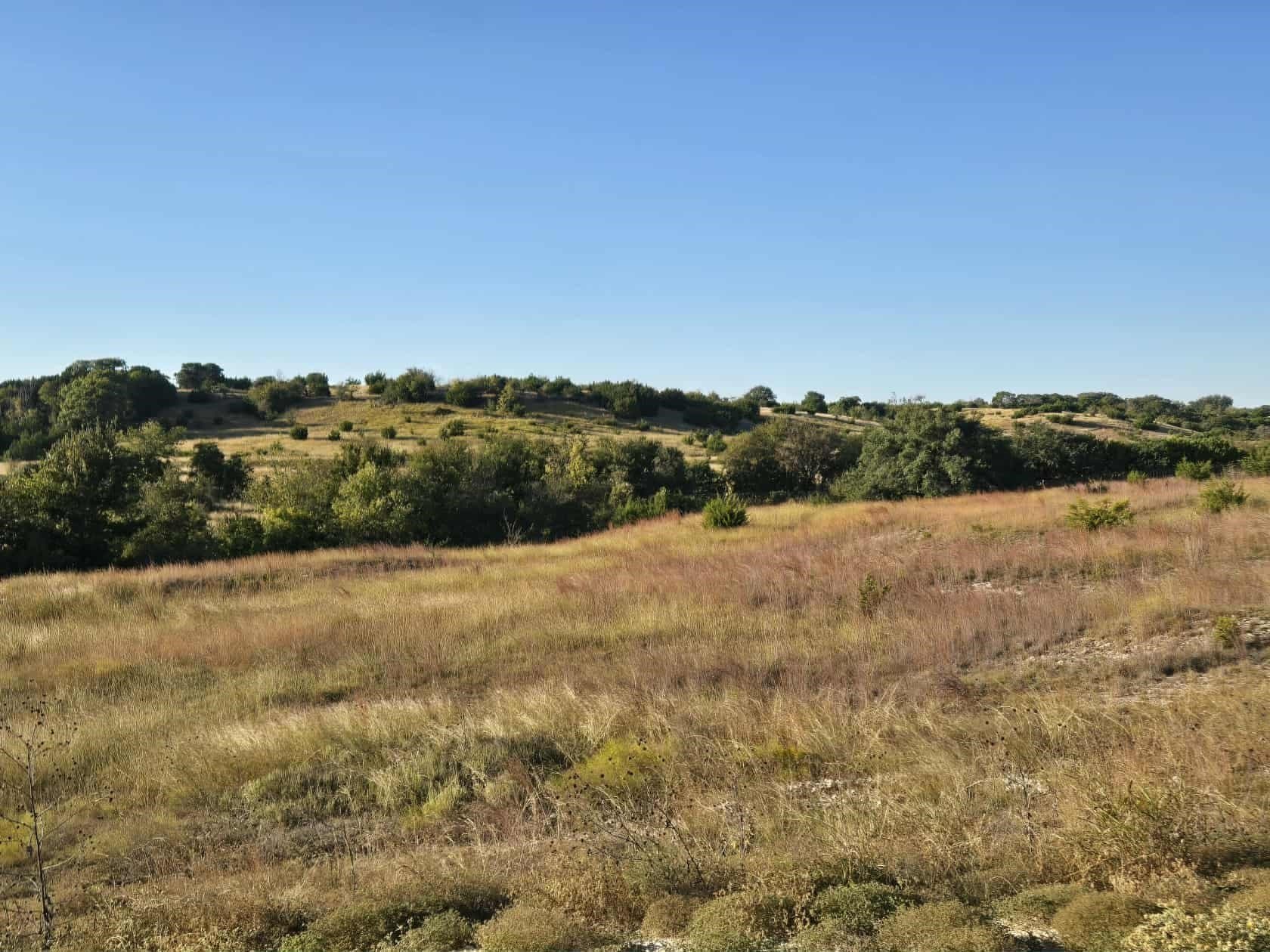 5 acres in Coryell County
