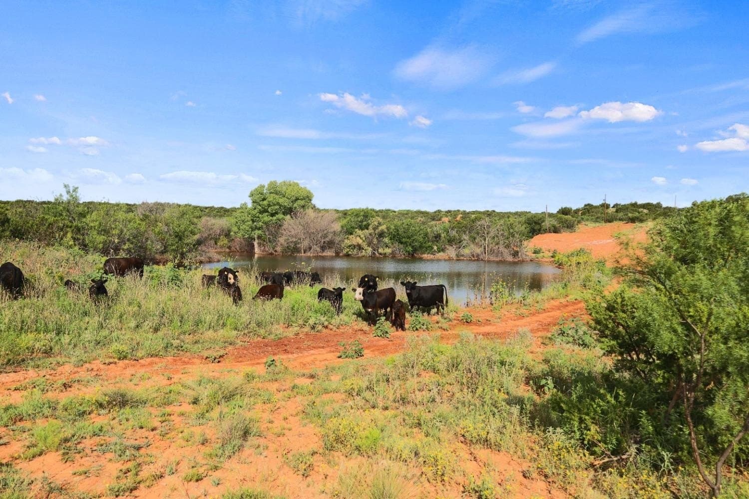 2,553 acres in Dickens County