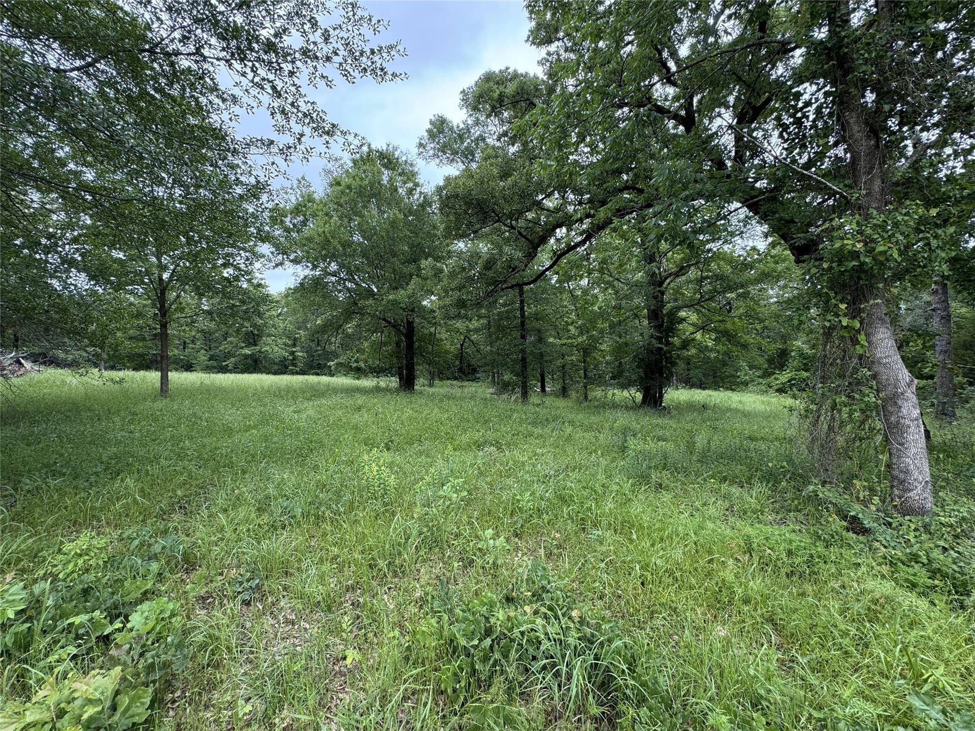 1.84 acres in Rains County