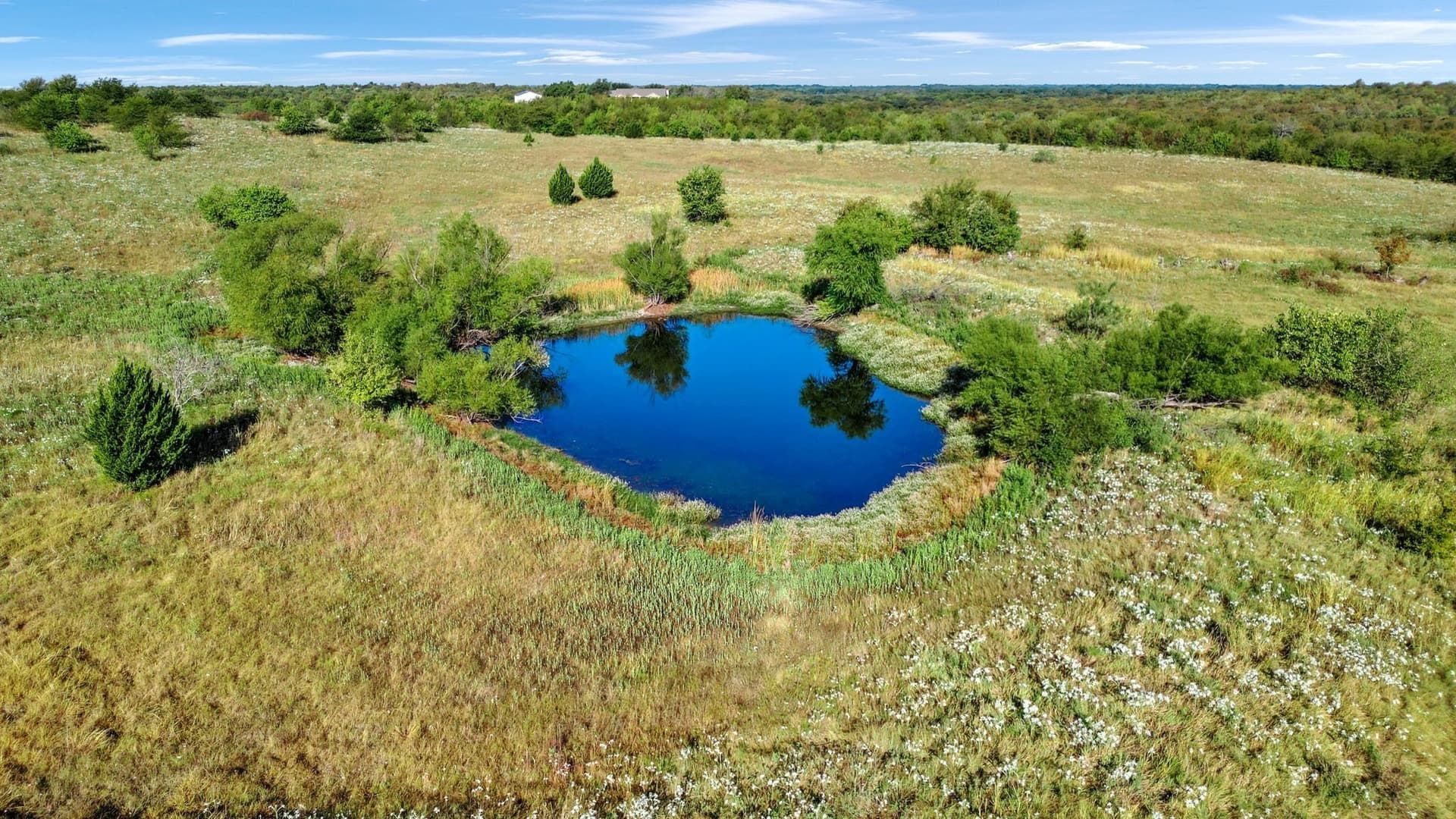 81.63 acres in Grayson County