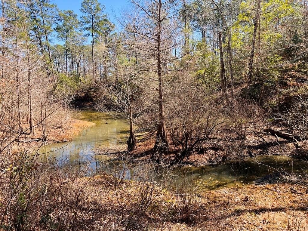 0.66 acres in Texas County