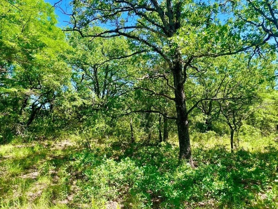 2 acres in Parker County