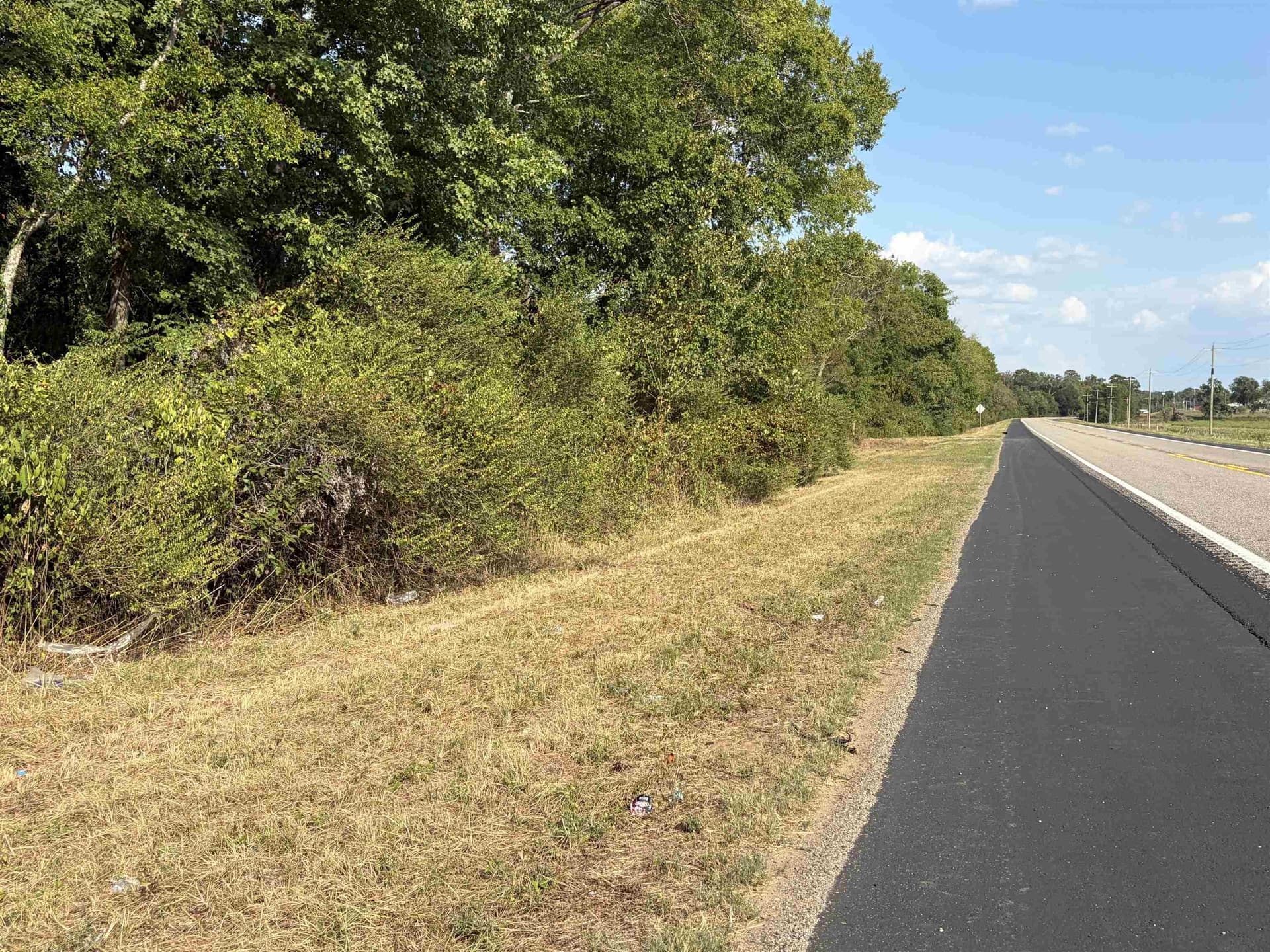 11.81 acres in Texas County